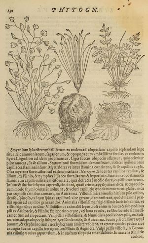Della Porta, Giovanni Battista - Phytognomonica