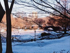 Woody Allen (Manhattan - New York)