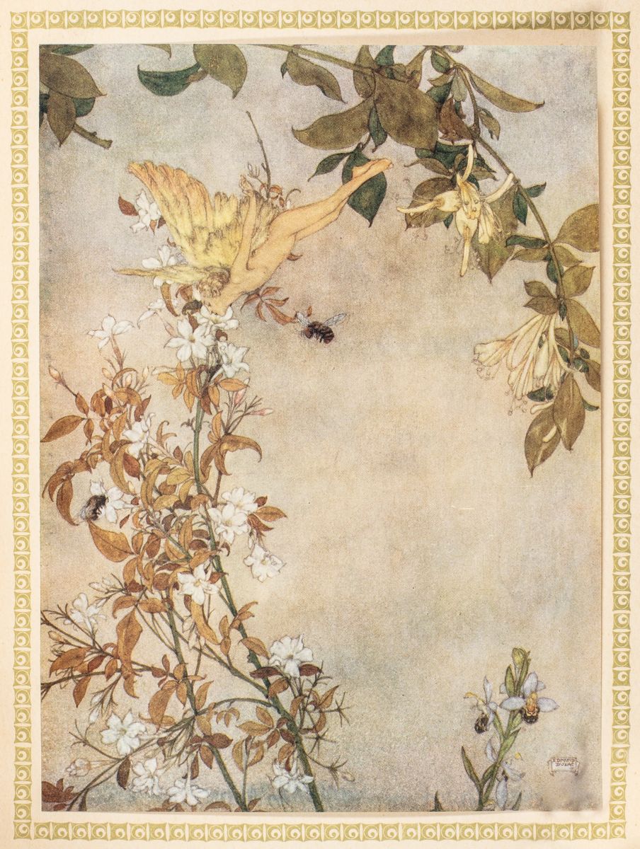 La Tempesta. Traduzione di Diego Angeli con Illustrazioni di Edmondo Dulac