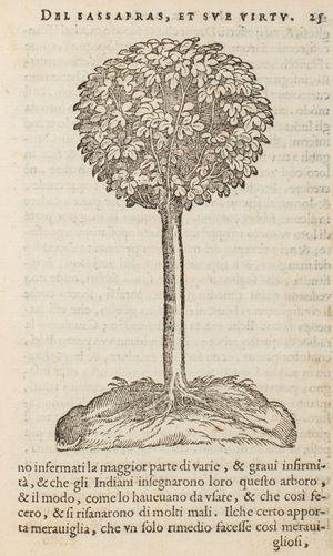 Garcia   Orta da, Nicolas  Monardes  - Dell'historia dei semplici aromati et altre cose che vengono portate dall'Indie Orientali pertinenti all'uso della medicina