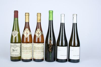 Selezione di vini bianchi da Portogallo e Spagna