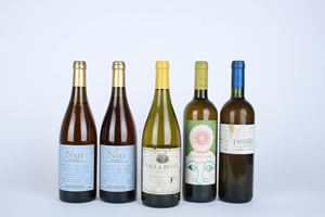 Selection White Wines Marche