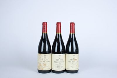 Tenuta delle Terre Nere Prephylloxera 'La Vigna di Don Peppino', Calderara Sottana Etna Rosso 200...
