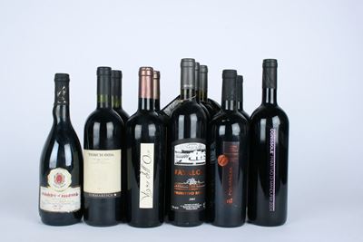Selezione di Primitivo: Vini del Sud Italia (2001-2008) - 12 bottiglie