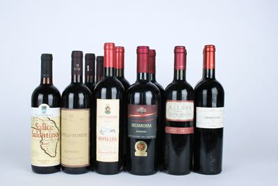 Selezione di vini Salice Salentino e Salento, assortimento di riserve e annate