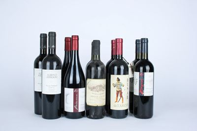 Selezione di vini del Trentino-Alto Adige, varietà e annate