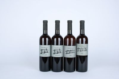 Dario Princic, Vini: Ribolla Gialla 2005, Jakot 2007, Jakot 2009