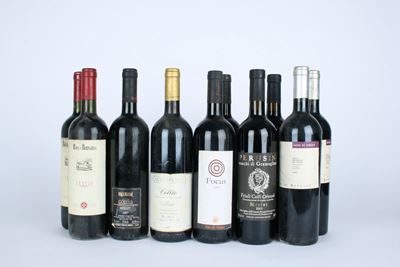Selezione di Merlot del Friuli, assortimento di 10 bottiglie