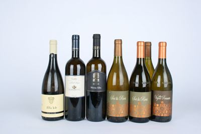 Selezione Bianchi Friuli, Vini bianchi assortiti da rinomate cantine