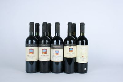 Falesco Montiano, Selezione di Vini 1996-2010