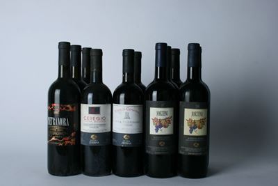 Fattoria Zerbina, Selezione di vini Sangiovese di Romagna e Ravenna IGT