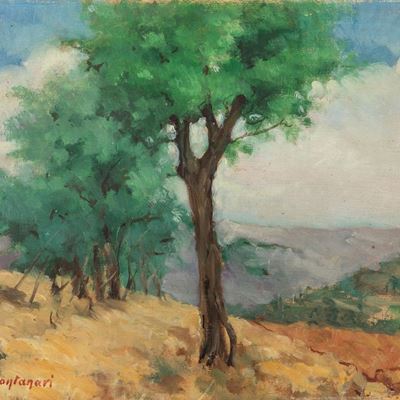 Alberi in Collina