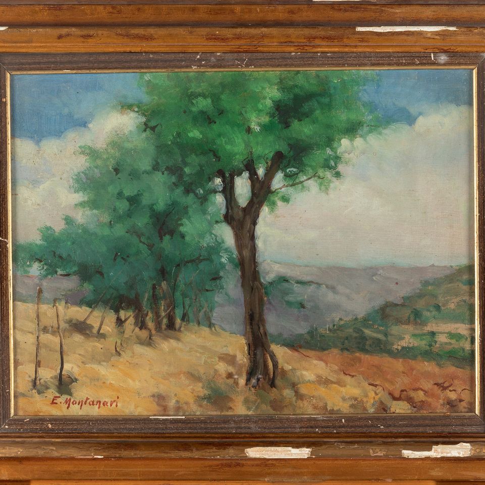 Ettore Montanari - Alberi in Collina
