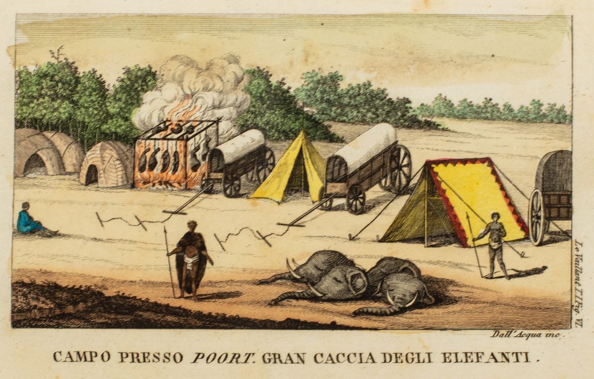 François le Vaillant - Primo Viaggio Nell'interno Dell'africa Pel Capo di Buona Speranza
