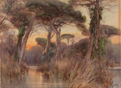 "tramonto nella Foresta di Castel Fusano"