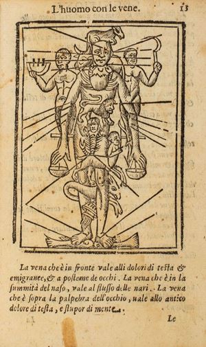 Joseph Du Chesne - Pharmacopoea Dogmaticorum restituita