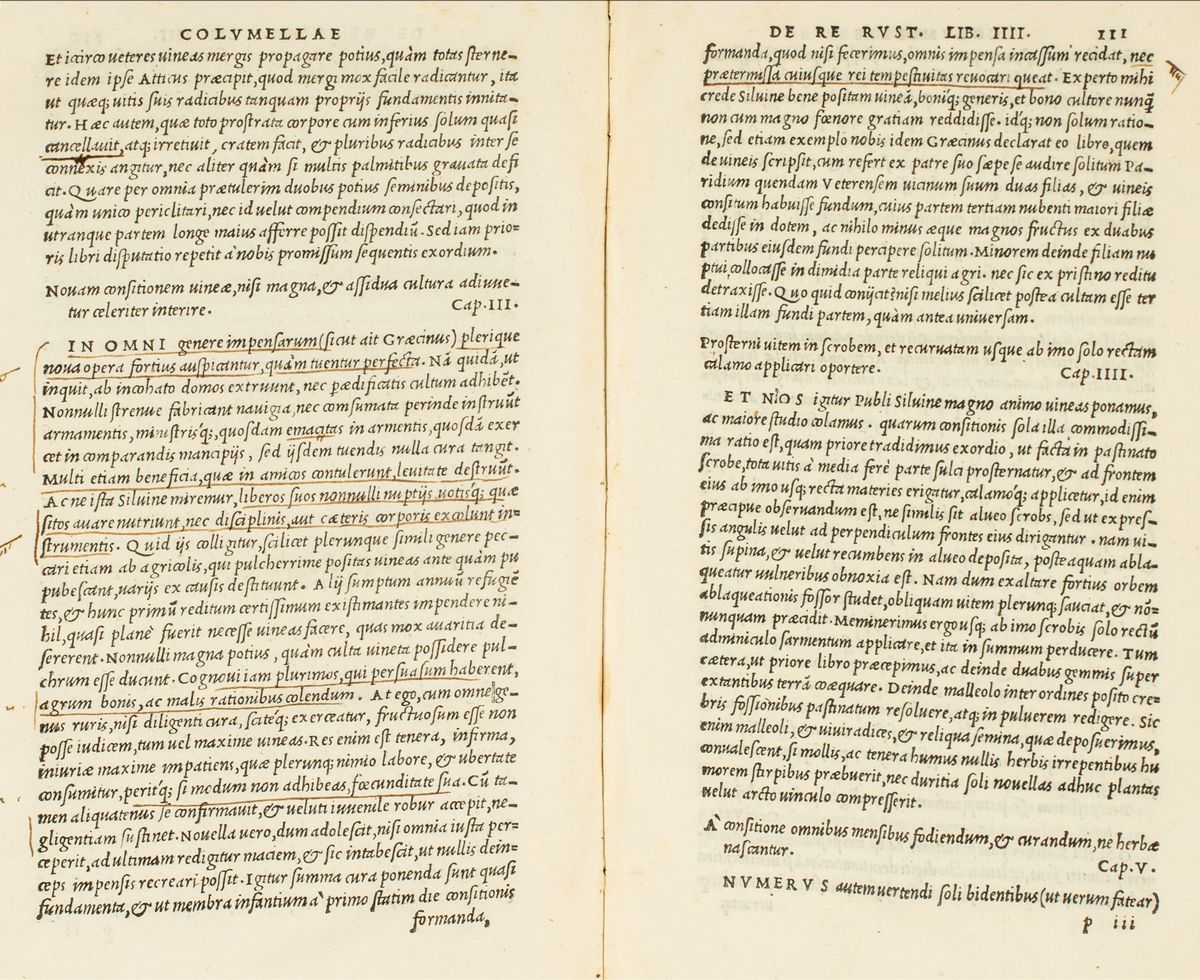 Catullo, Gaio Valerio - Catullus Et in Eum Commentarius M. Antonii Mureti