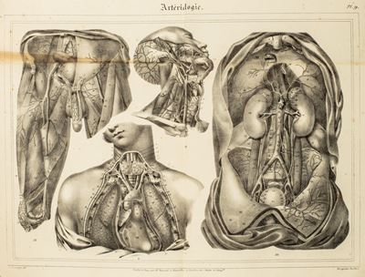 Atlas Anatomique. Quinze Planches D'apres Jules Cloquet