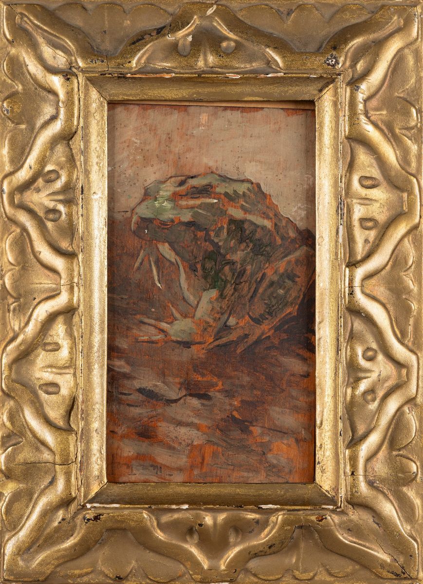 Luigi Conconi - Rospo