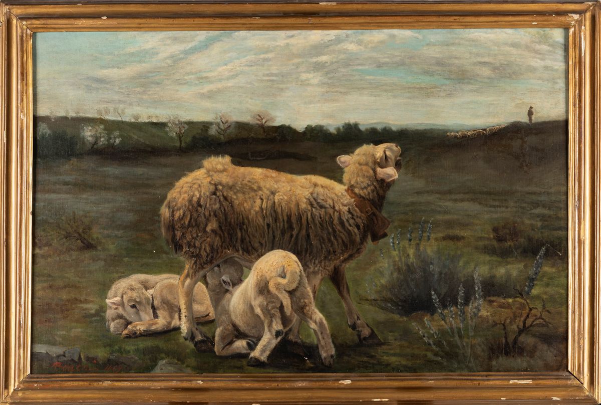 Louis-alexandre Bouché - Cure Materne