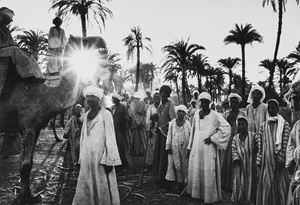 Un'oasi nel deserto a 300 km da Assuan