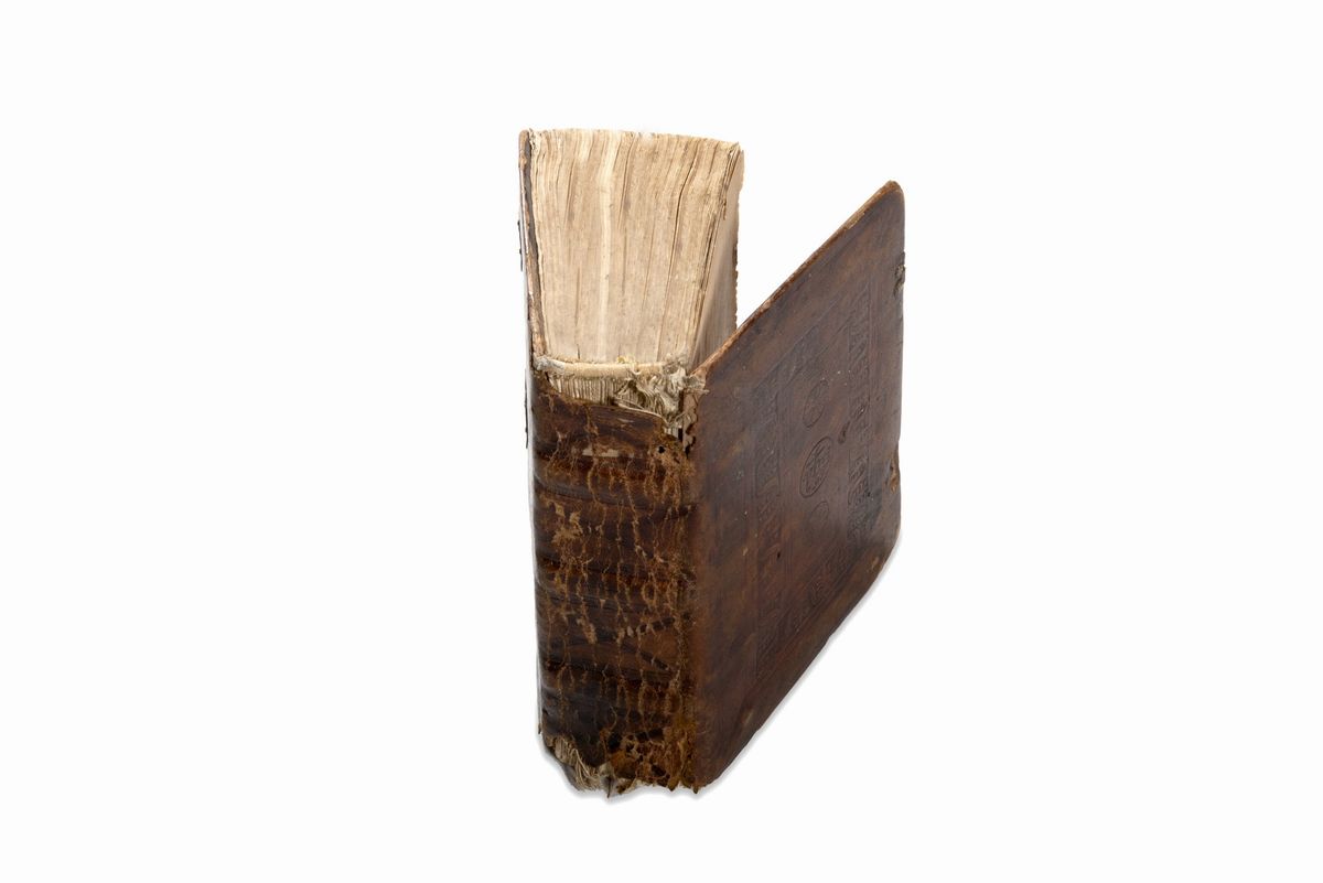 Antonius Rampigollis - Figurae Bibliae