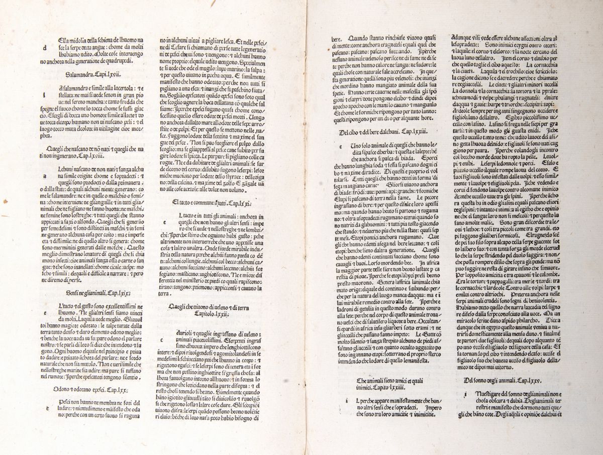 Plinio il Giovane - Historia Naturalis