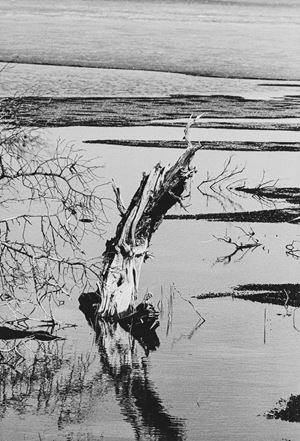 Senza titolo (Finlandia)