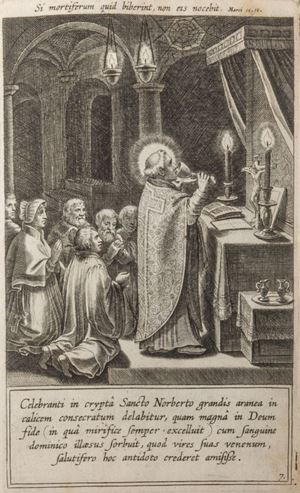 Sterre, van der, Joannes Crysostomus - Vita S. Norberti canonicorum Praemonstratensium Patriarchae Antverpiae Apostoli Archiepisc. Magdeburg. ac totius Germaniae Primatis.