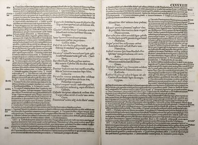 Martialis Cum Duobus Commentis