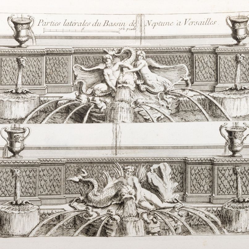 Piante di Giardini