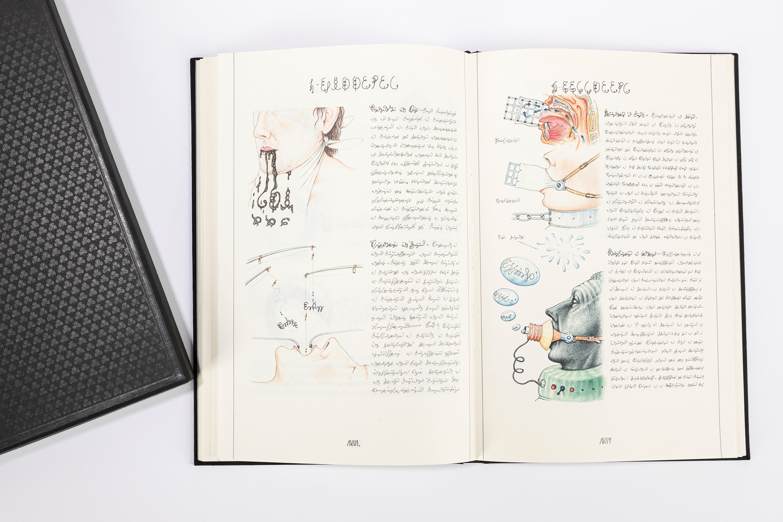Luigi Serafini - Codex Seraphinianus, Vol. i e Vol. II