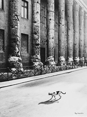 Essere gatto a Roma, Tempio di Adriano