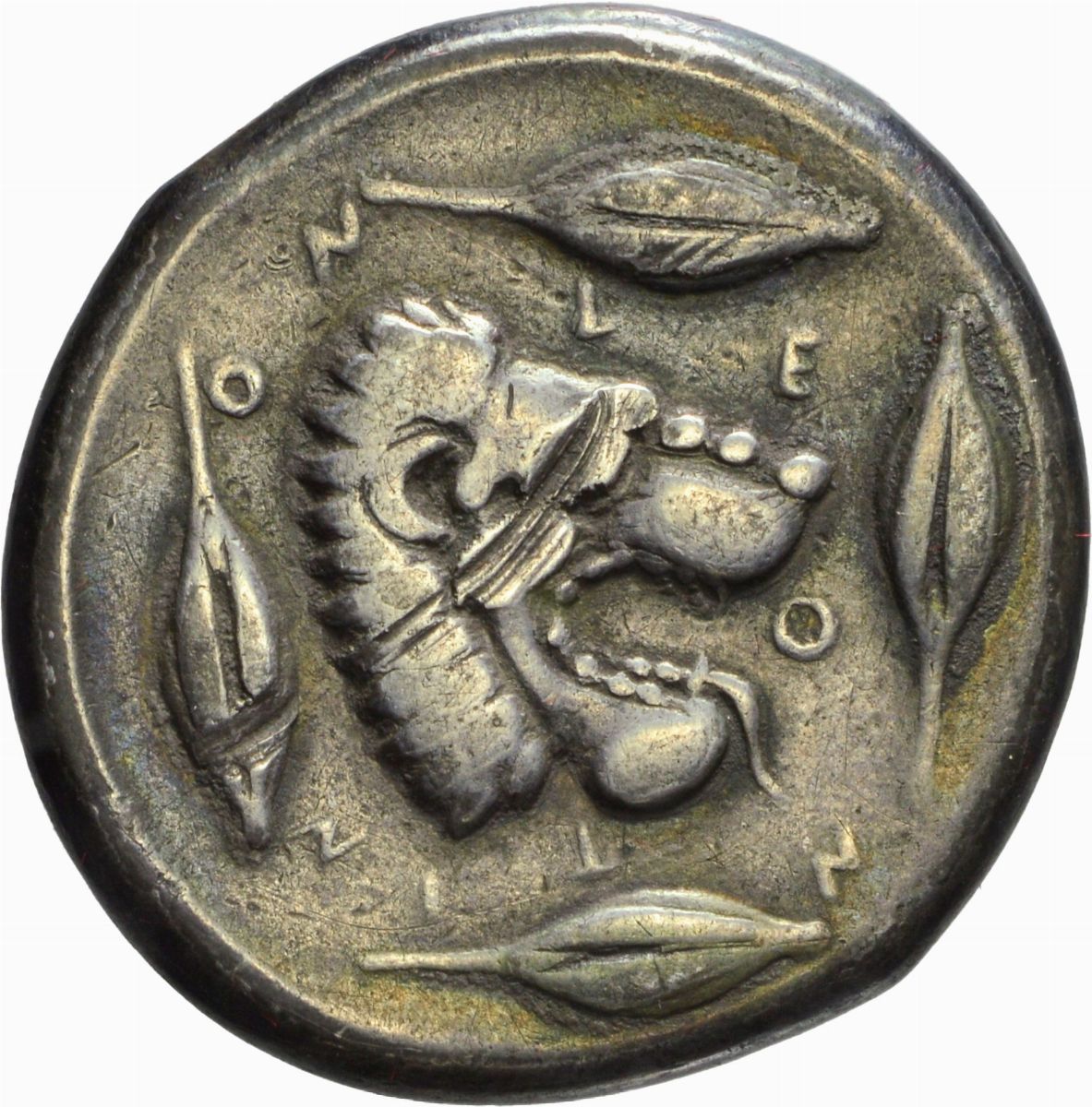 Sicilia - Tetradramma, Emissione: 455-430 a.C.