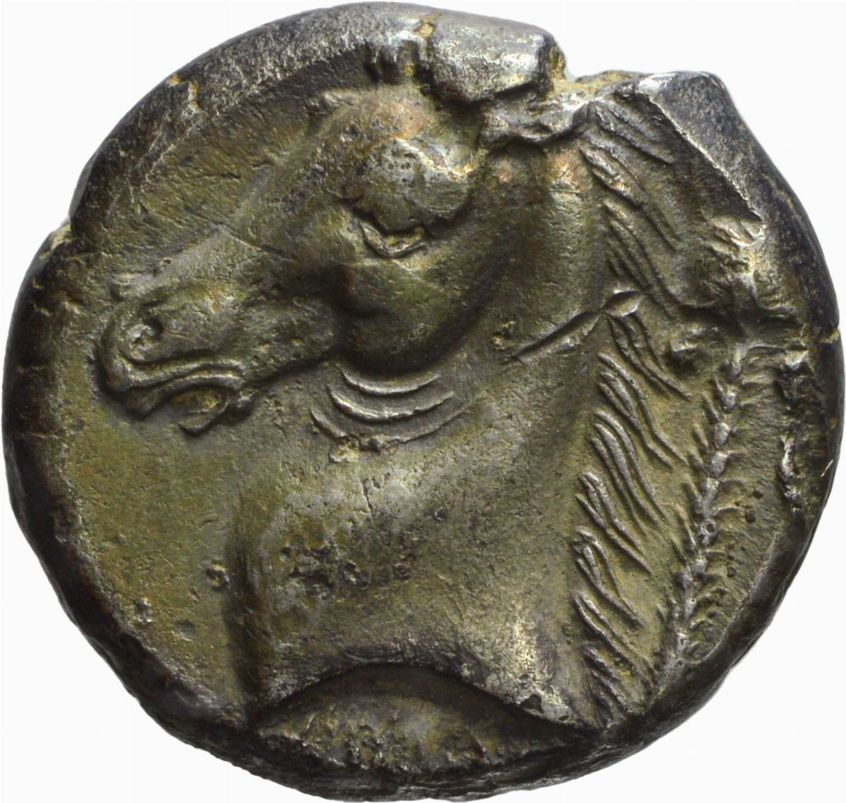 Sicilia - Tetradramma, Emissione: 320-300 a.C.