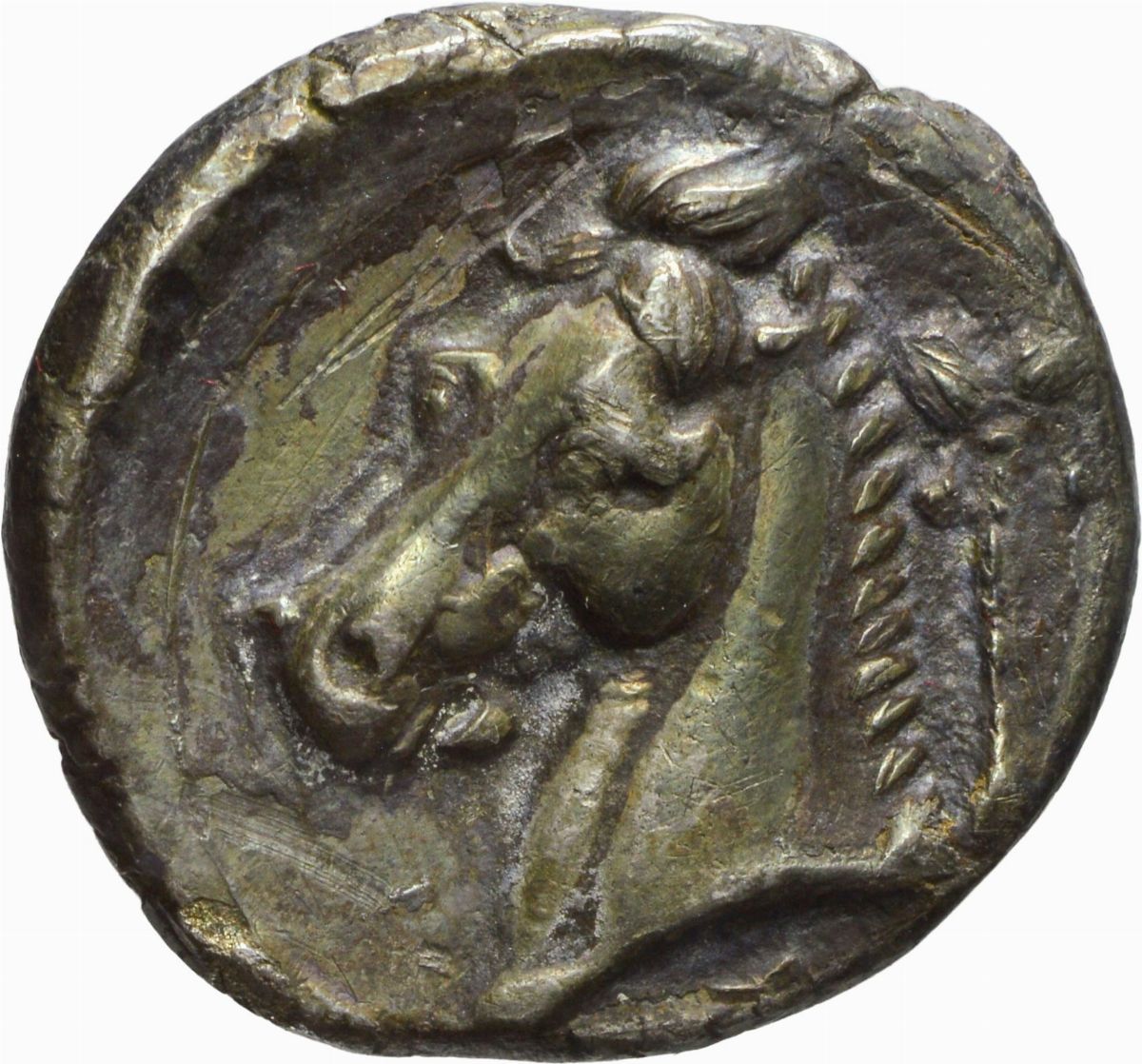 Sicilia - Tetradramma Siculo-punica, Emissione: 320-300 a.C.