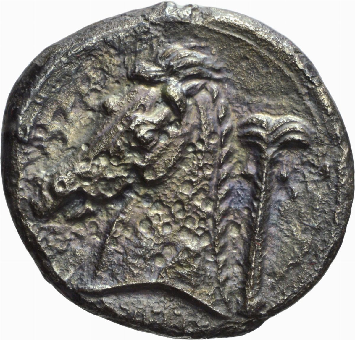 Sicilia, Siculo-punica - Sicilia, Tetradramma Siculo-Punico, Emissione: 320-300 a.C.