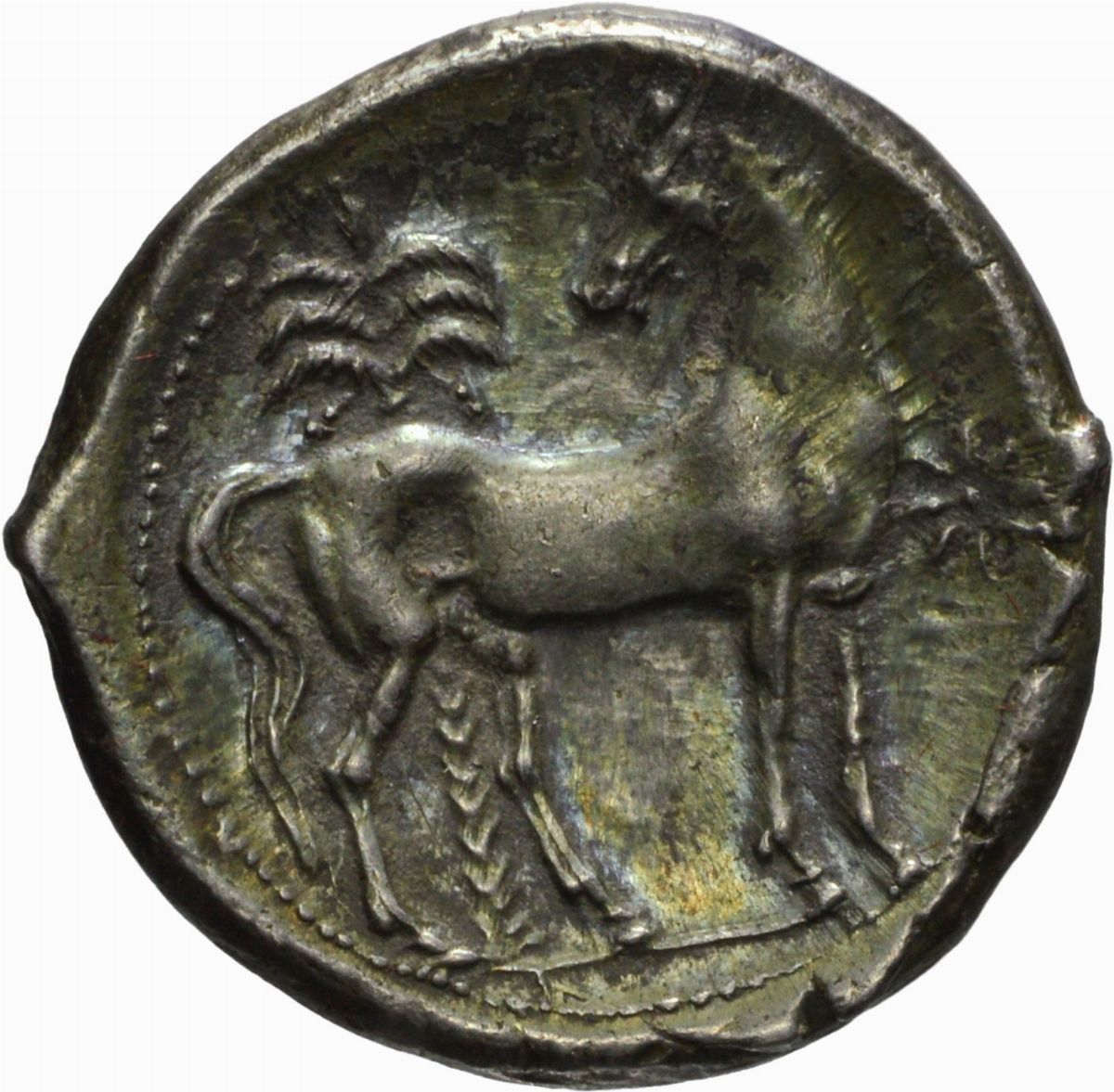 Zeugitana - Cartagine, Shekel, emissione 220-210 a.C. in argento