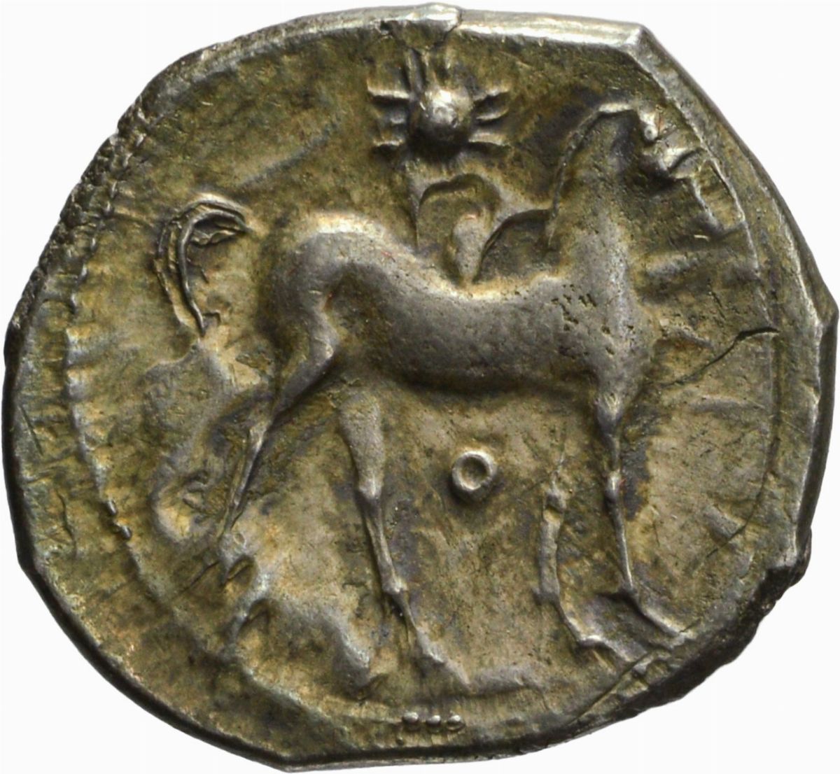 Zeugitana - Cartagine, Shekel 1/2, Emissione: 220-210 a.C.