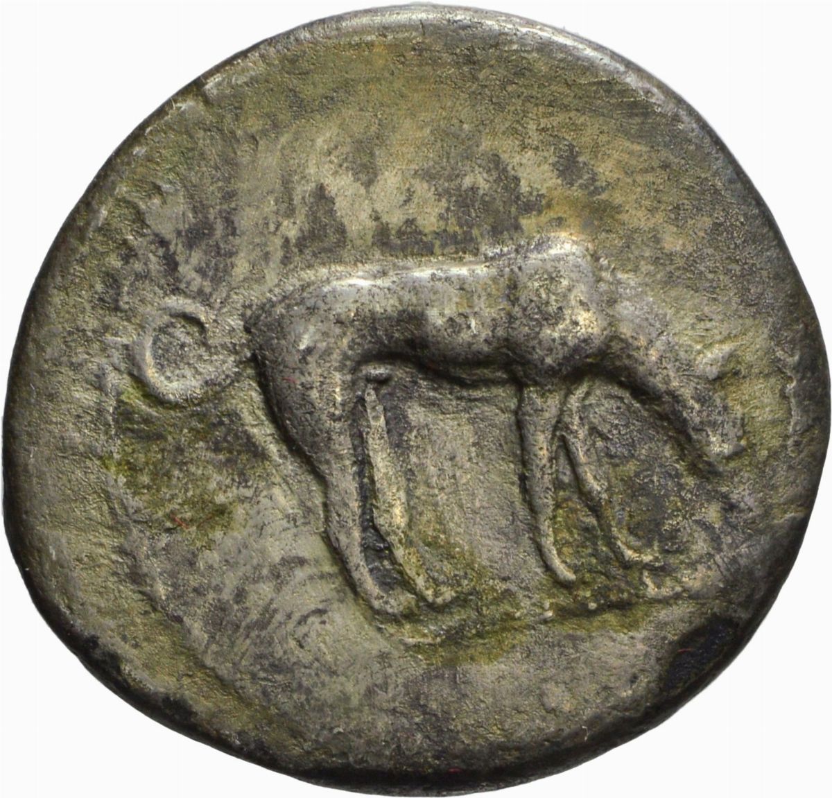Sicilia - Didramma della Zecca di Segesta, Emissione: 480-475 a.C.