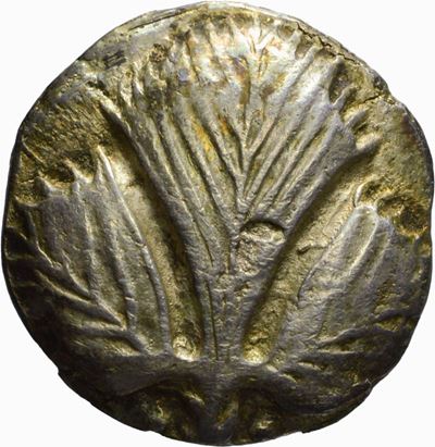 Didramma di Selinunte, emissione: 480-475 a.C.