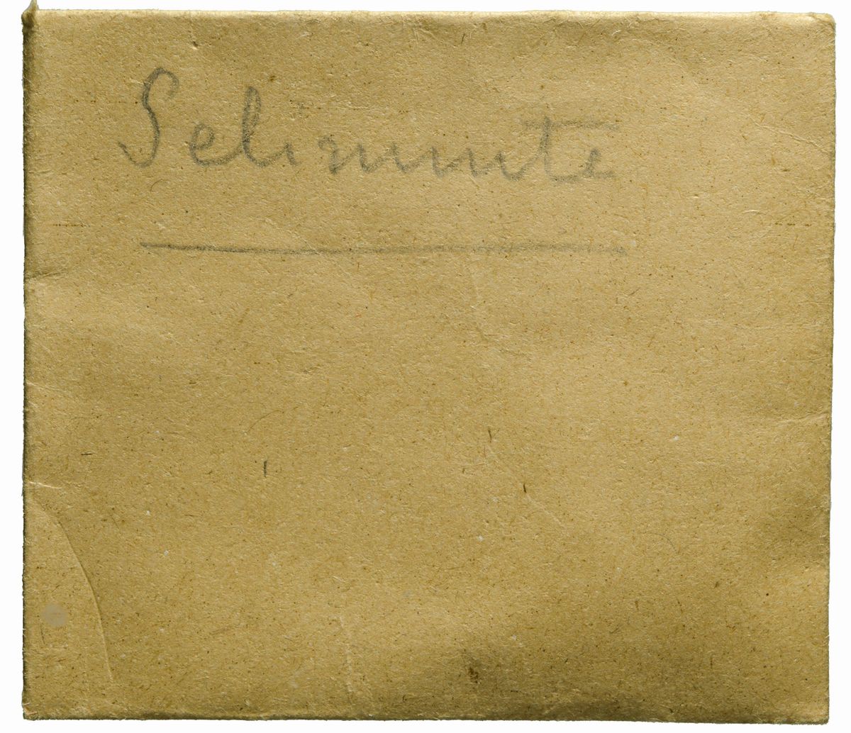 Sicilia - Didramma di Selinunte, emissione: 480-475 a.C.