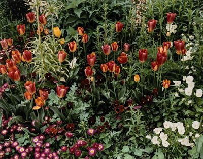 Giverny 12