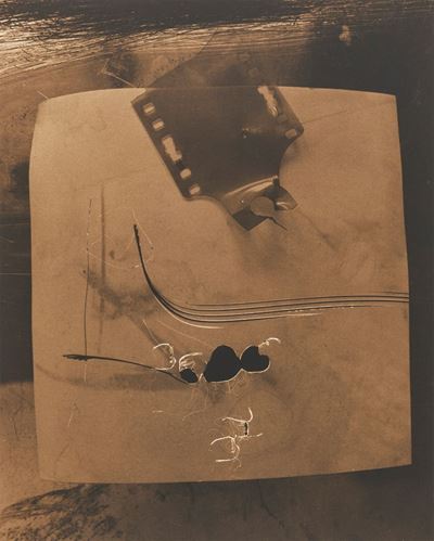 Still Life