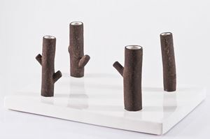 Branzi Andrea - Collezione Bosco