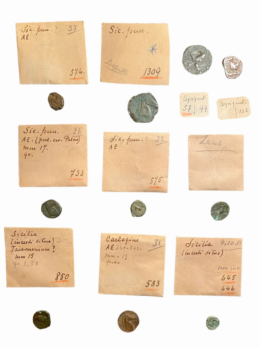 Lotto di 10 monete in bronzo del mondo greco e magno greco