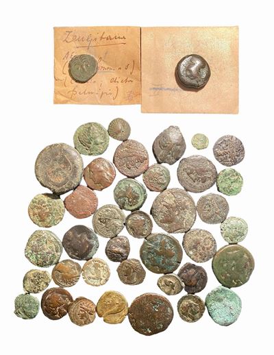 Lotto di 40 monete in bronzo del mondo greco e magno greco con bustine di collezione