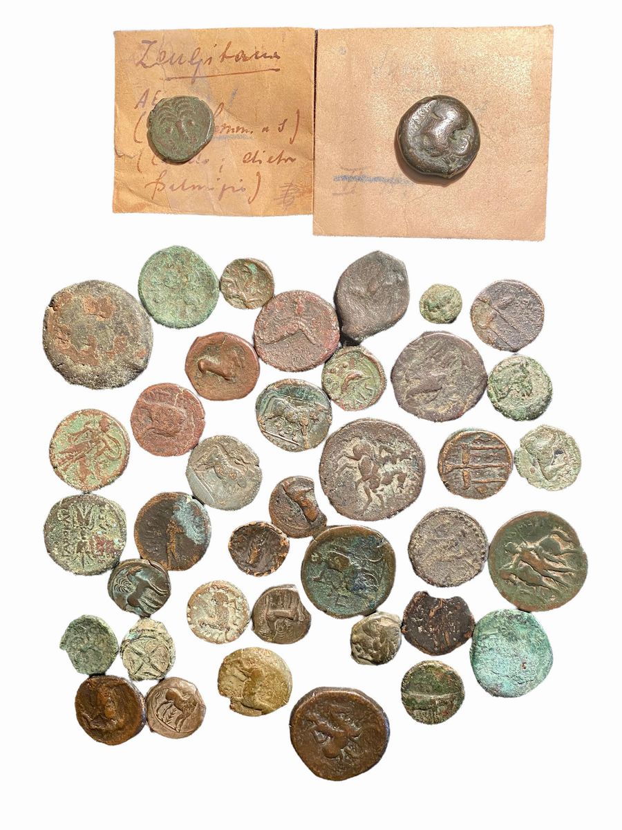 Lotto di 40 monete in bronzo del mondo greco e magno greco con bustine di collezione
