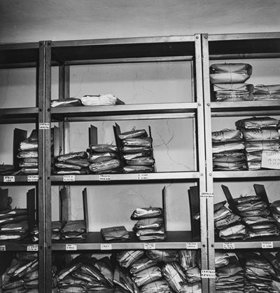 Senza Titolo (archivio)