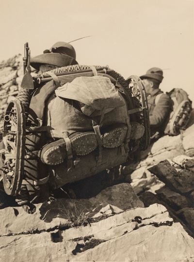 Alpini